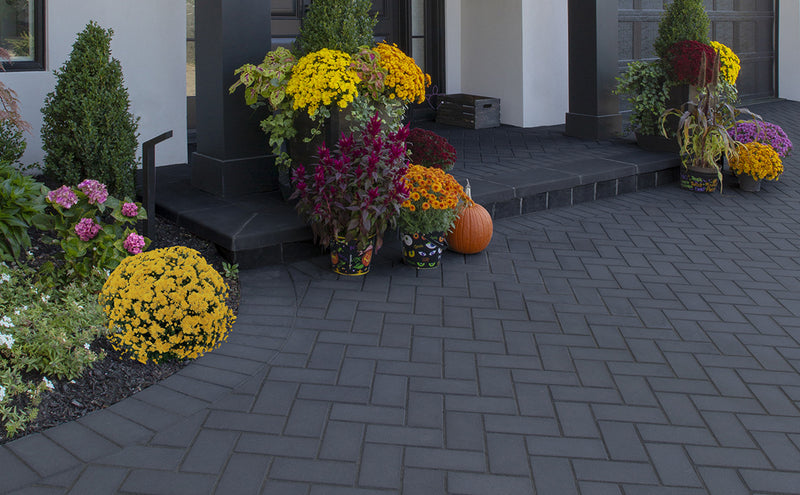 Ledgestone Smooth 4 1/2″ x 9″ Paver – Sherwood Collection | Cambridge Pavers